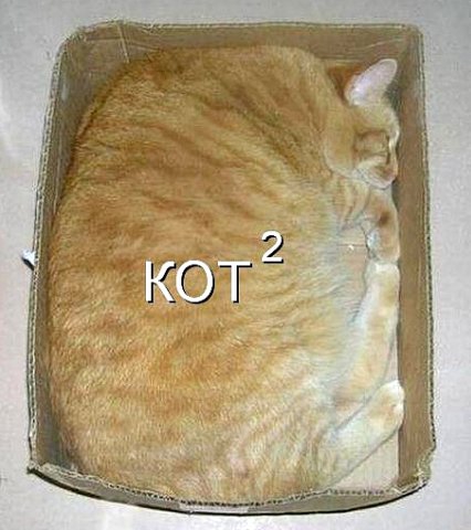 Как удобно спать в коробке коробка, кот