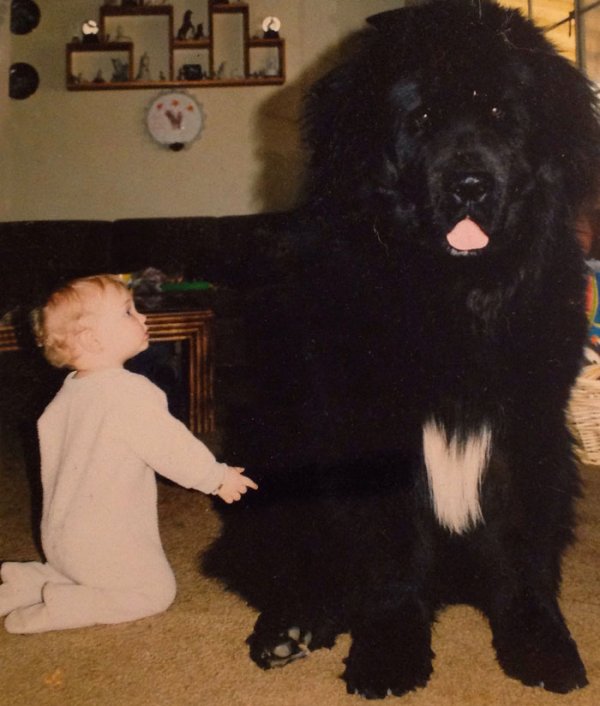 Маленькие дети со своими большими собаками