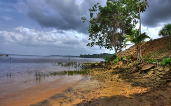 Река Эссекибо в Гайане.