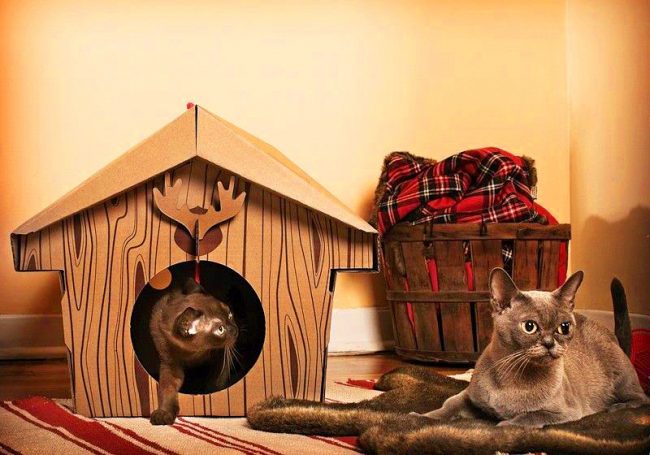 Картонный домик в канадском стиле придется по душе скромным кошкам