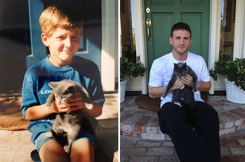 До и после  животные, кошки
