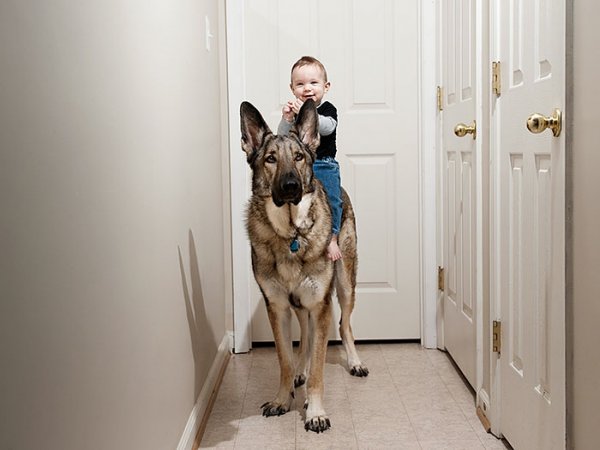 Маленькие дети со своими большими собаками
