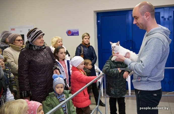 Фоторепортаж с шоу кошек в Минске  кошаки, минск, фото, фоторепортаж