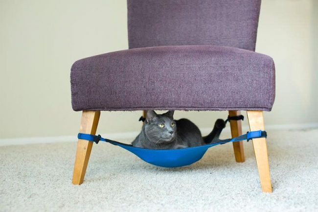 Гамак под стулом сэкономит место в комнате и доставит удовольствие коту