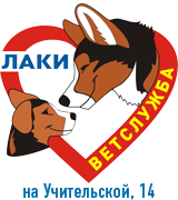 Калининская ветеринарная клиника «Лаки» в Санкт-Петербург